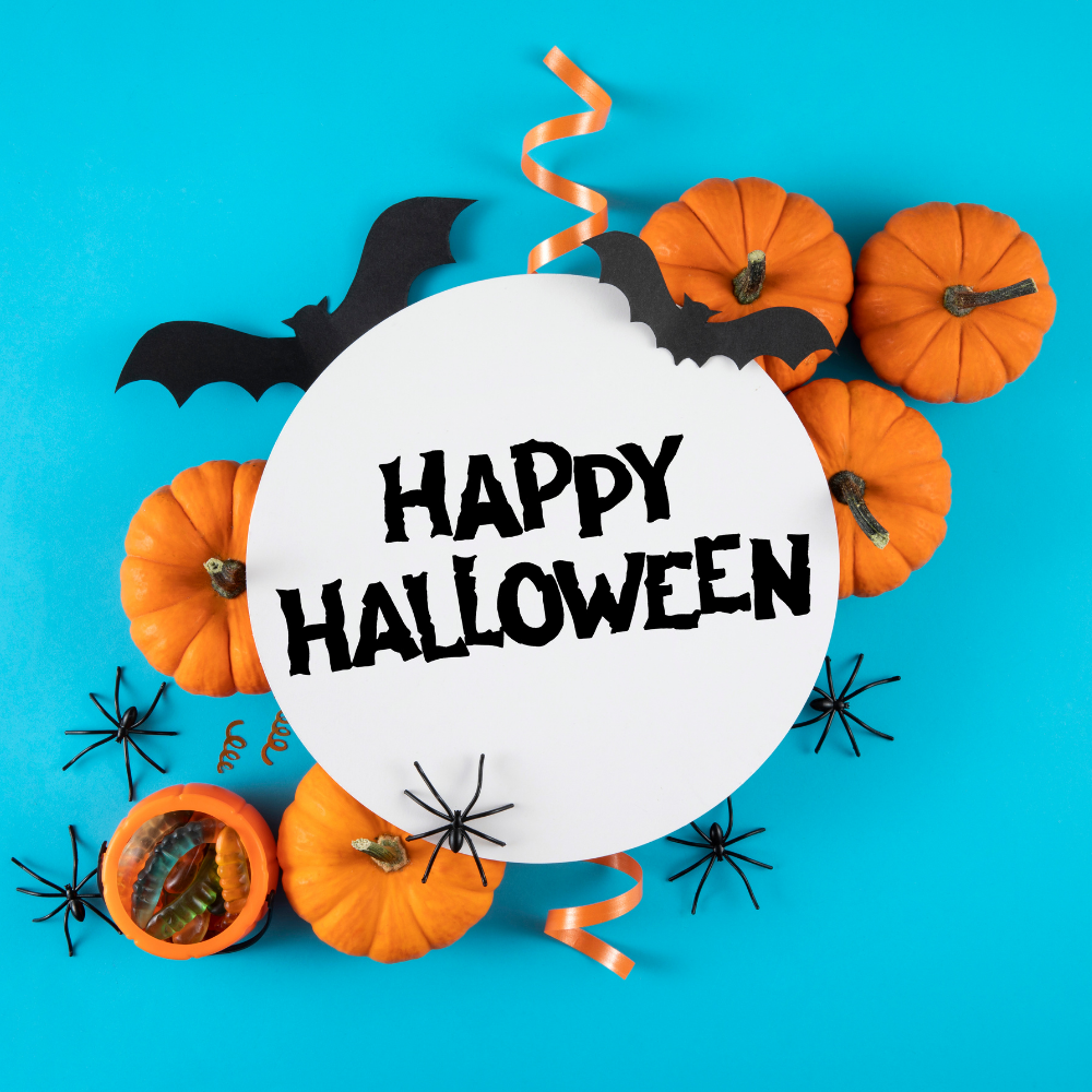 Boo Bags| Halloween Mystery bags (Only 24 Available)